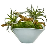 Почти естествен въздух растение изкуствен сочен в зелена ваза