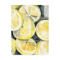 Изящно изкуство - лимонови резенчета и платно-Дженифър Пакстън Паркър